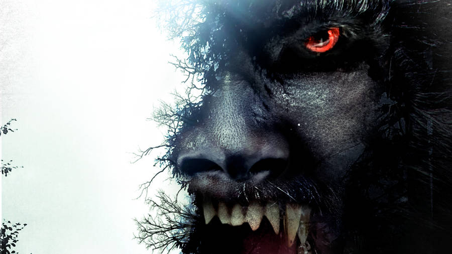 Bigfoot Scary Face With Trees Wallpaper