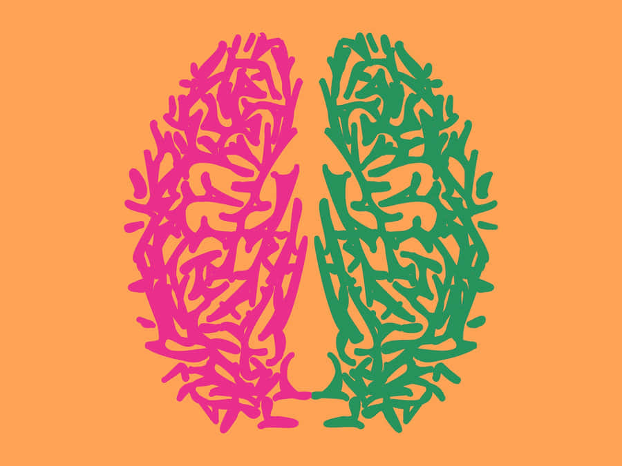 Bilingual Brain Art Wallpaper