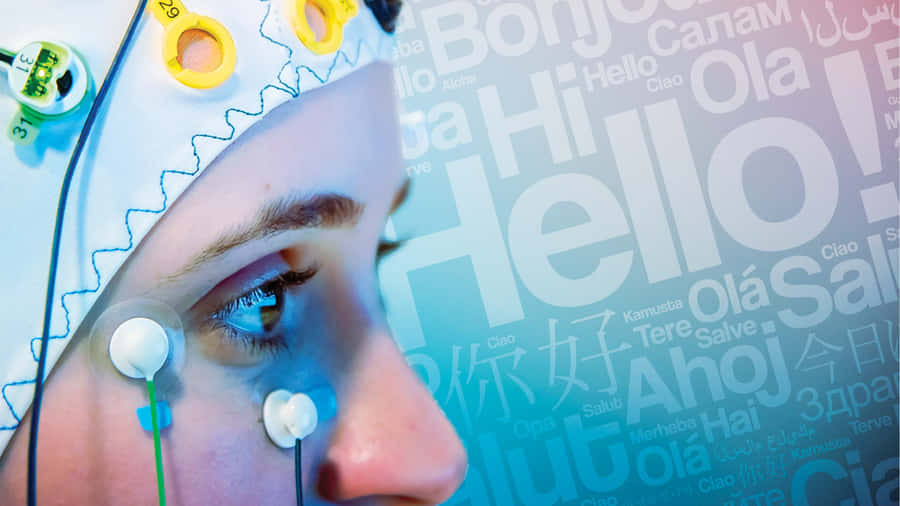 Bilingual Hello Translations Wallpaper