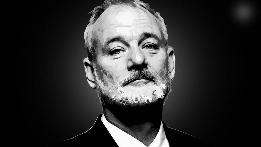 Bill Murray American Actor Black And White Wallpaper