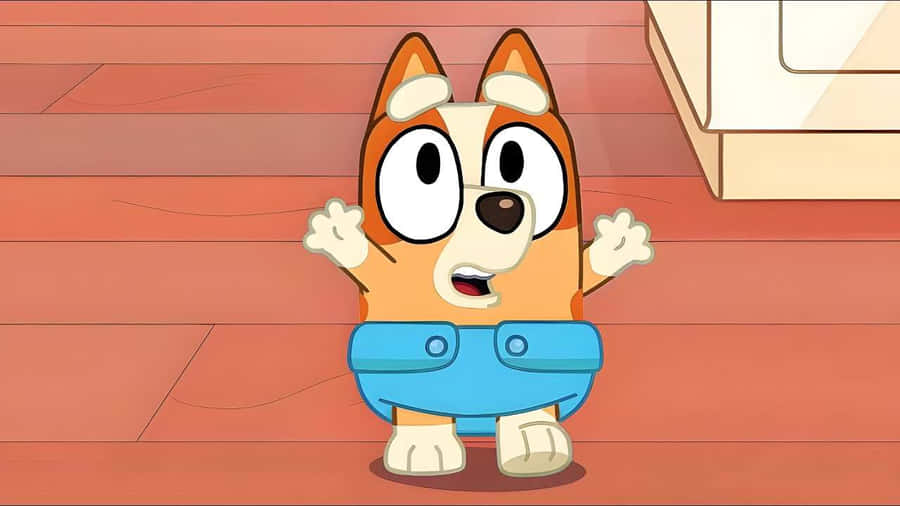 Bingo Bluey Cartoon Character Wallpaper