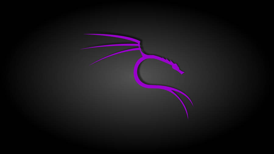Black And Purple Aesthetic Kali Linux Wallpaper