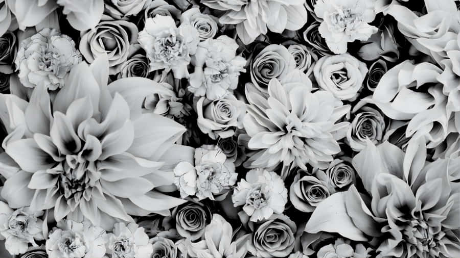 Black And White Floral Elegance Wallpaper