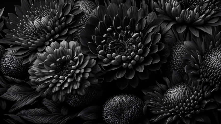 Black And White Floral Elegance Wallpaper