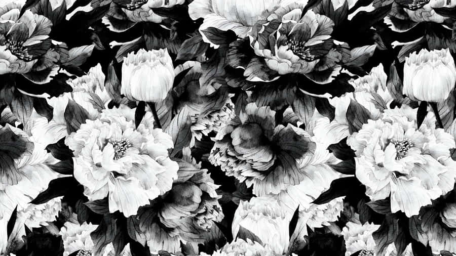 Black And White Floral Elegance Wallpaper