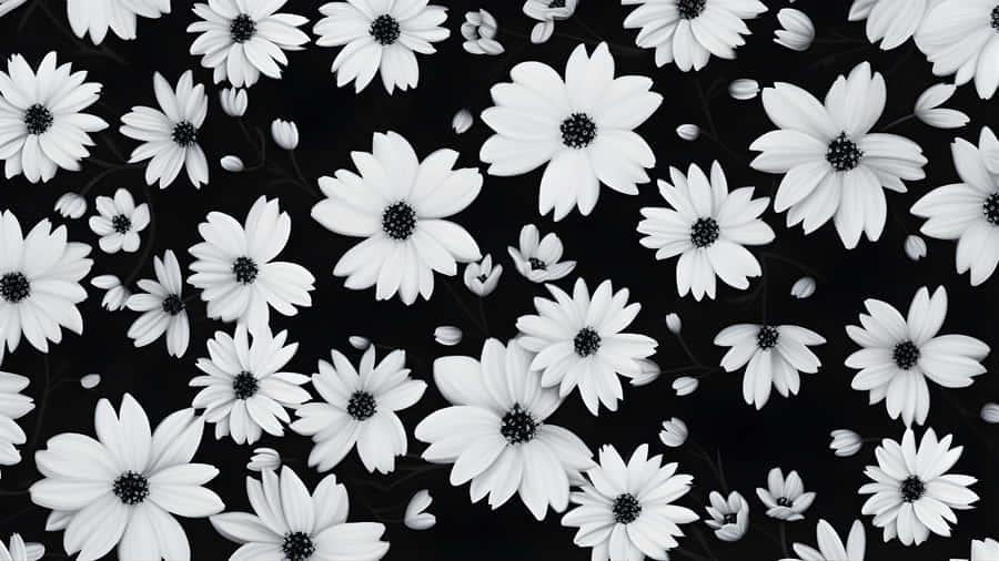 Black And White Floral Pattern Wallpaper