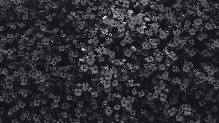 Black And White Floral Pattern Wallpaper