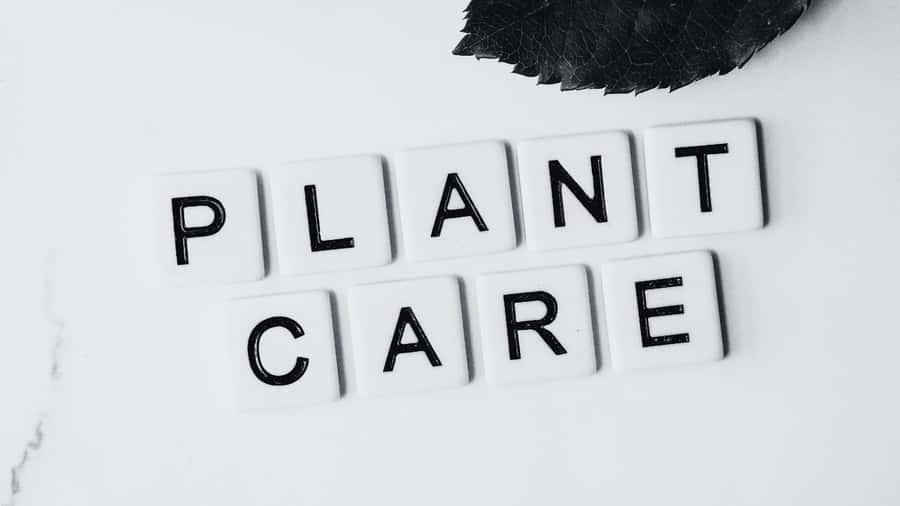 Black And White Word Art Wallpaper Wallpaper