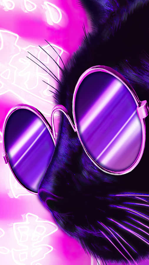 Black Cat Purple Sunglasses Vibe Wallpaper
