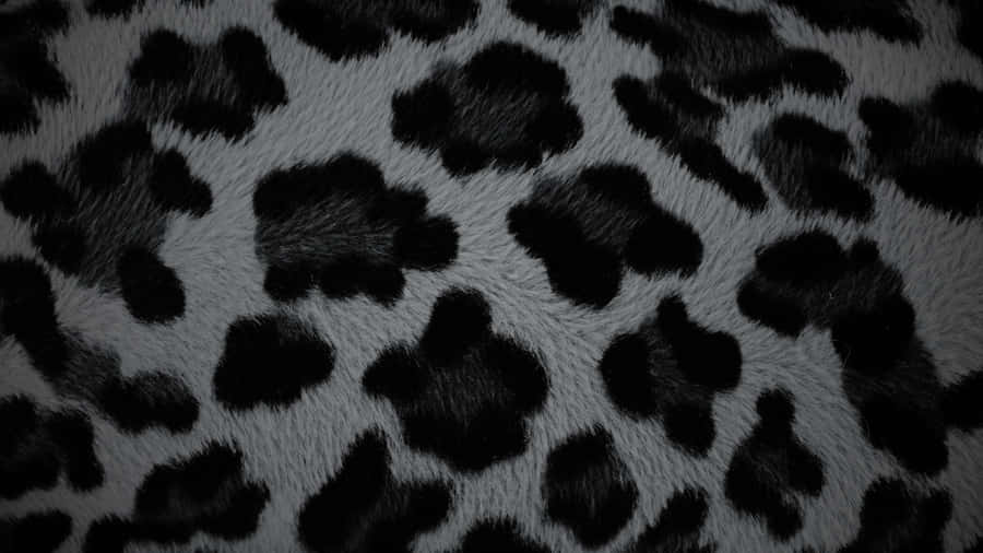 Black Cheetah Print Fabric Wallpaper
