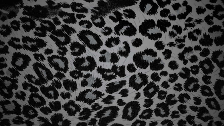 Black Cheetah Print Pattern Wallpaper