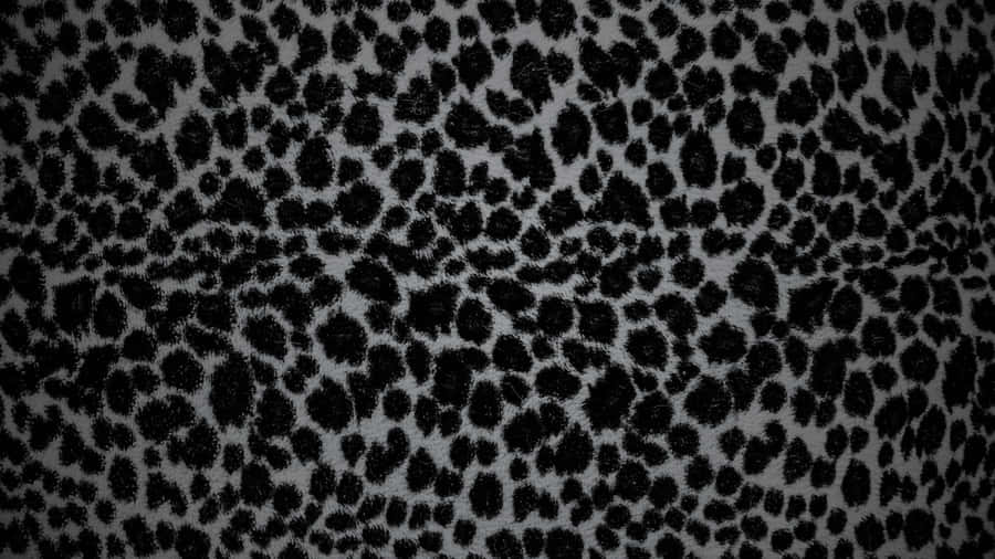 Black Cheetah Print Pattern Wallpaper