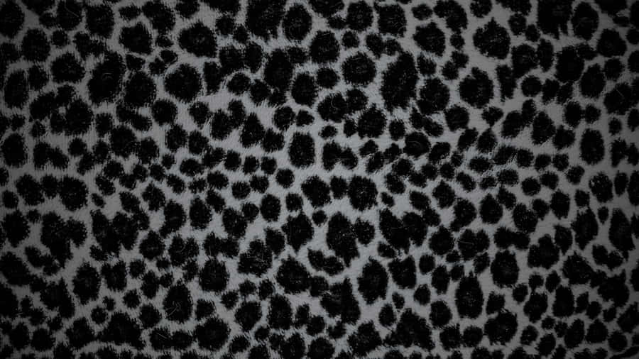 Black Cheetah Print Pattern Wallpaper
