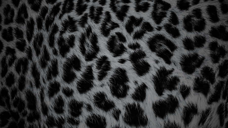 Black Cheetah Print Texture Wallpaper