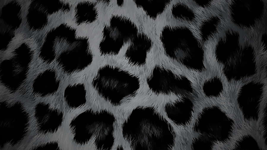 Black Cheetah Print Texture Wallpaper