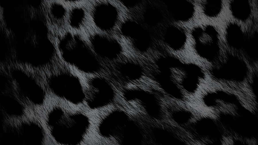 Black Cheetah Print Texture Wallpaper