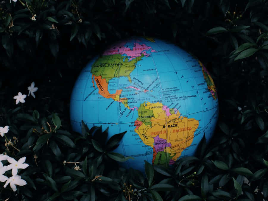 Black Forest Lake Wallpaper