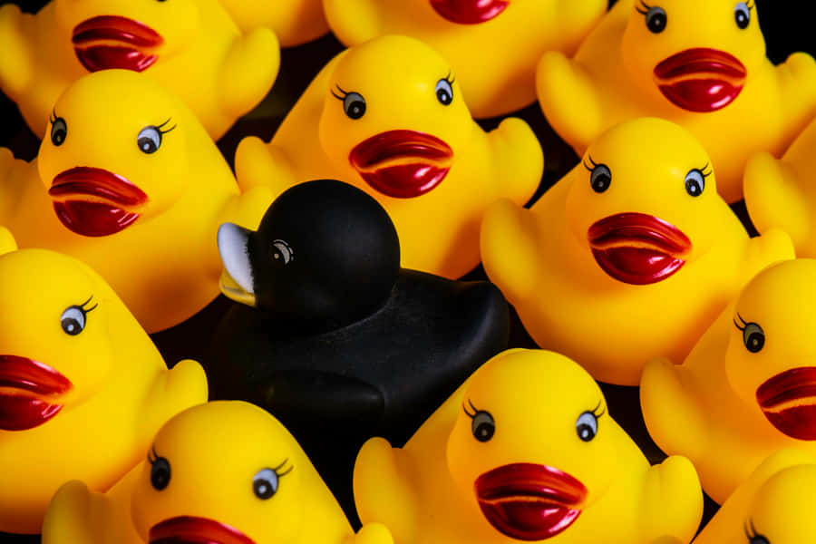 Black Rubber Duck Among Yellow Ducks Wallpaper