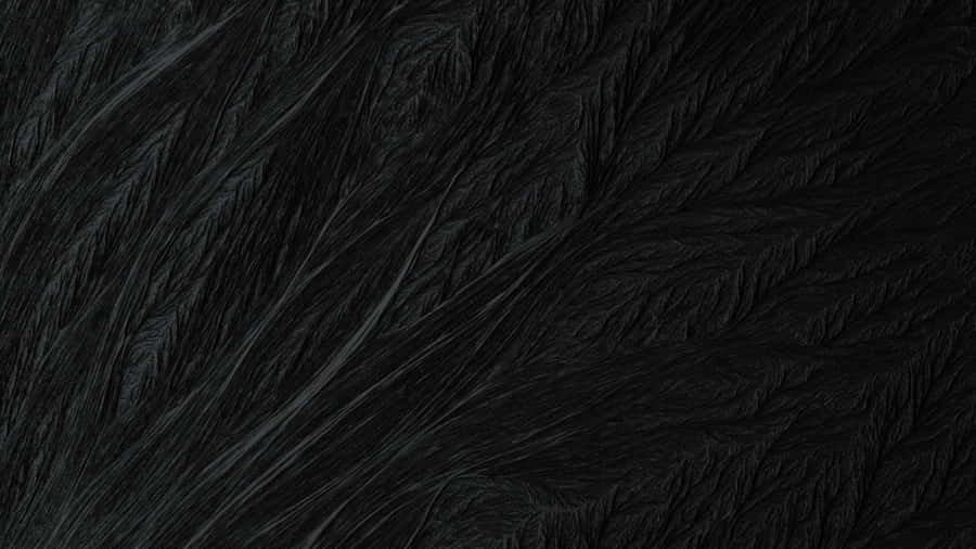 Black Textured Paint Surface Wallpaper