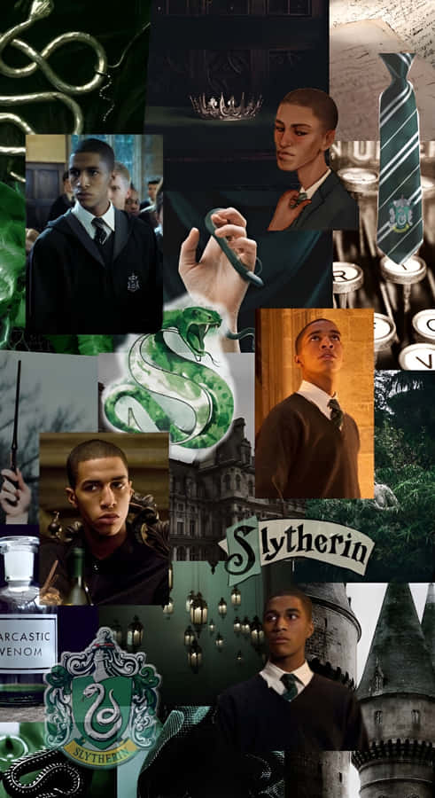 Blaise Zabini Slytherin Highlights Wallpaper