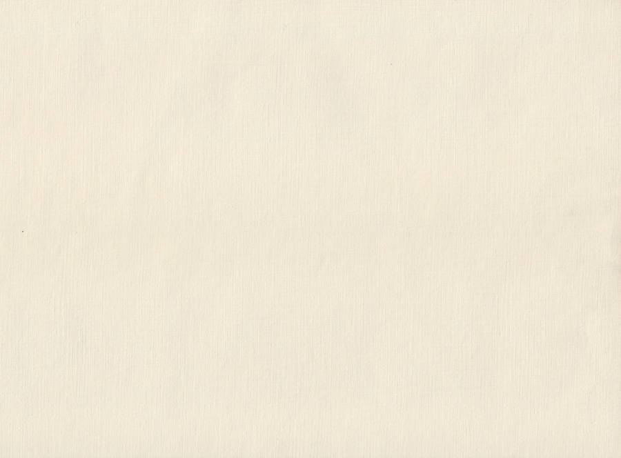 Blank Cream Paper Wallpaper