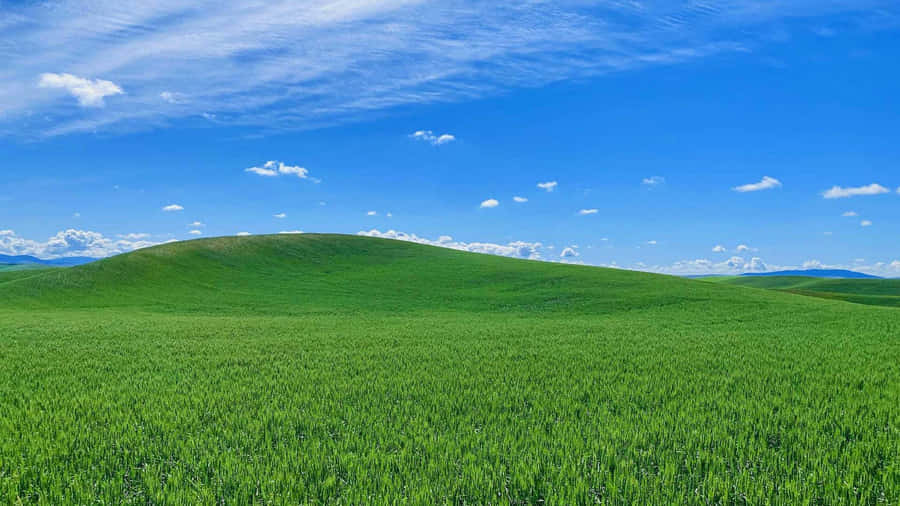 Bliss Green Rolling Hills Wallpaper