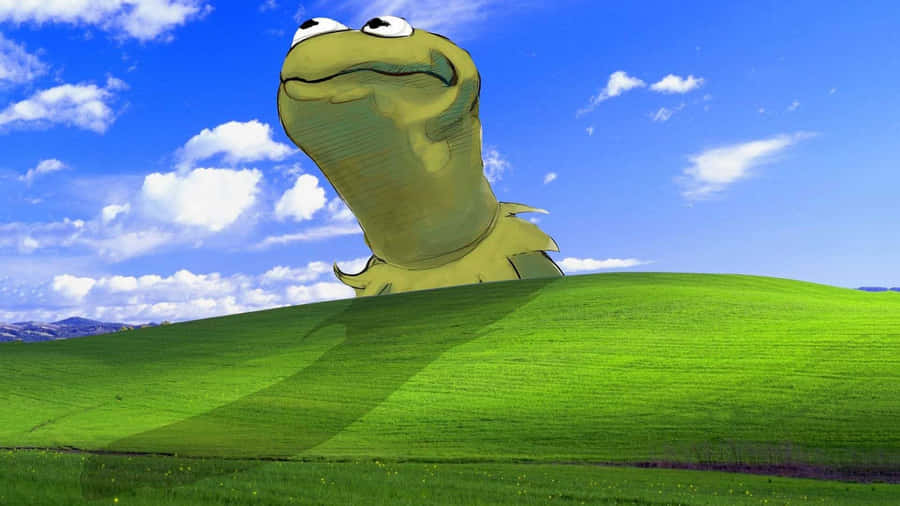 Blissful Frog On Green Hill Wallpaper