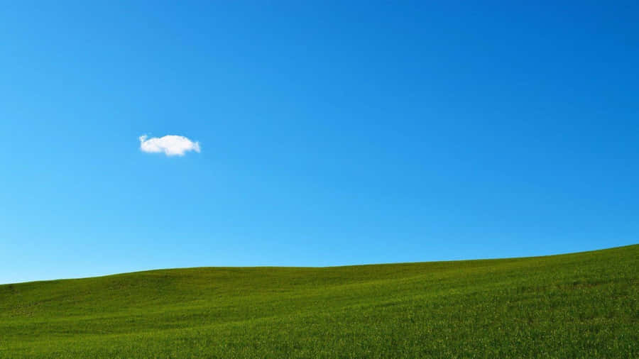Blissful Green Hill Landscape Wallpaper