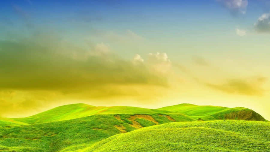 Blissful Green Hills Wallpaper