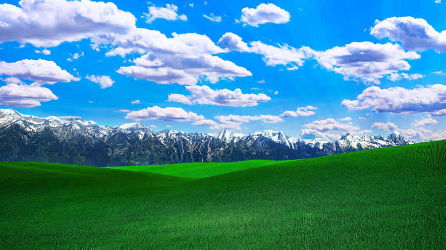 Blissful Green Meadow Wallpaper