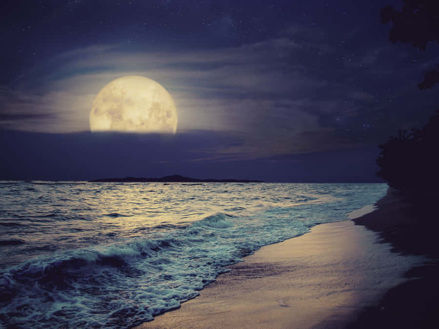 Blue And White Ripple Waves Wallpaper