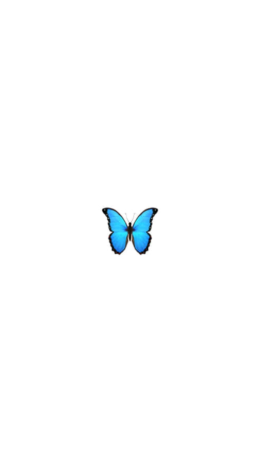 Blue Butterfly Isolated Background Wallpaper