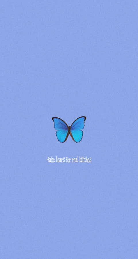 Blue Butterfly Quote Artwork Wallpaper