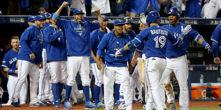 Blue Jays Unite! Wallpaper