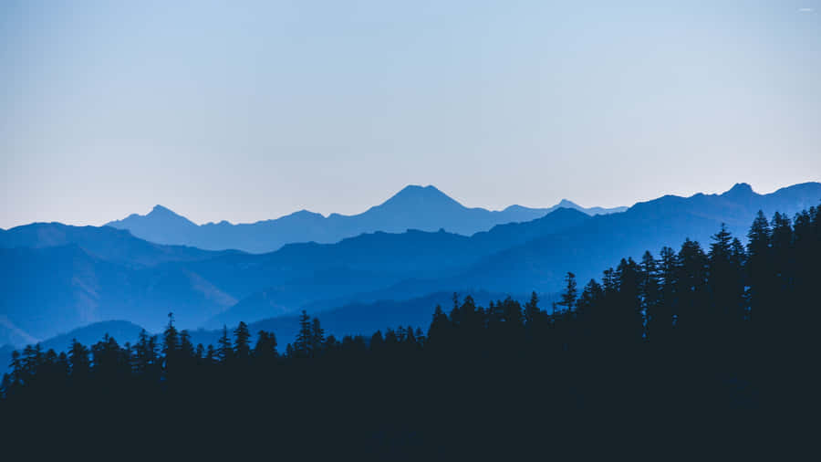 Blue Mountain Forest Trees Wallpaper