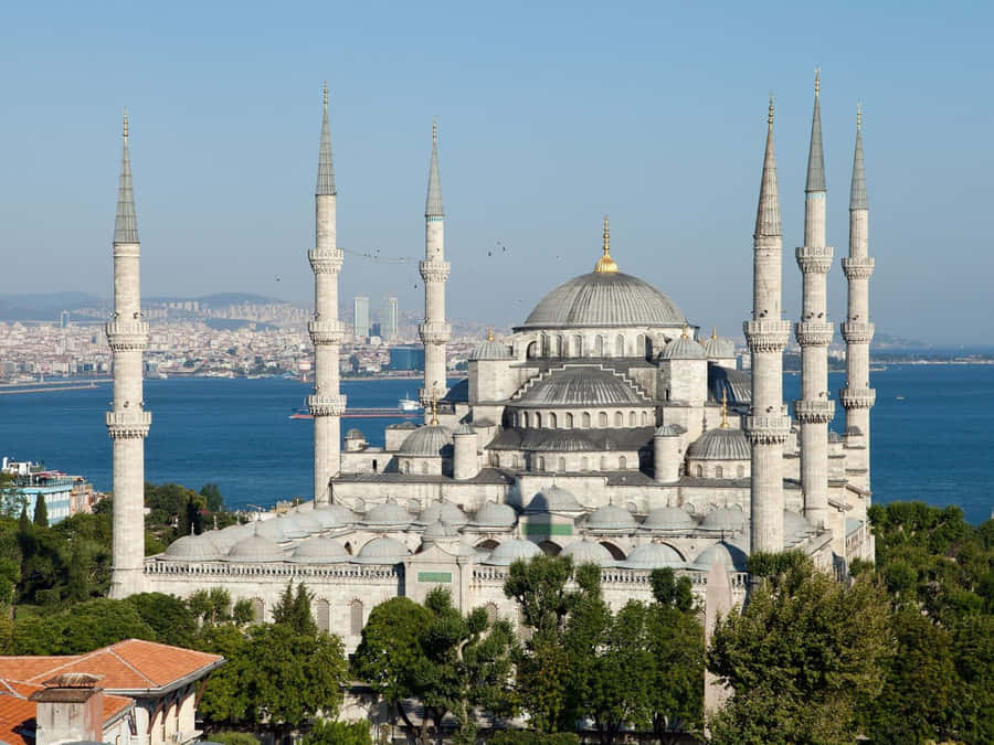 Blue Ocean View Blue Mosque Wallpaper