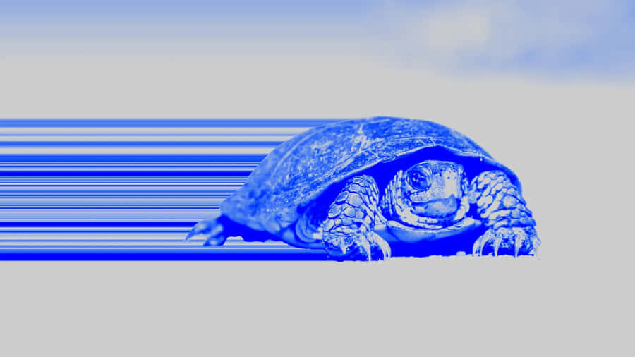 Blue Sea Turtle Art Wallpaper
