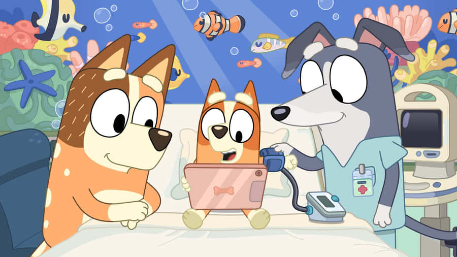 Blueyand Bingo Underwater Adventure Wallpaper