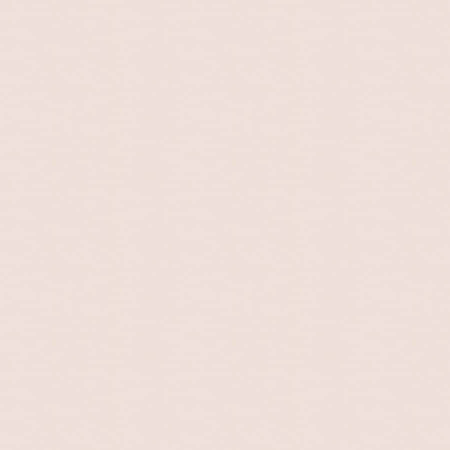 Blush Pink Solid Background Wallpaper