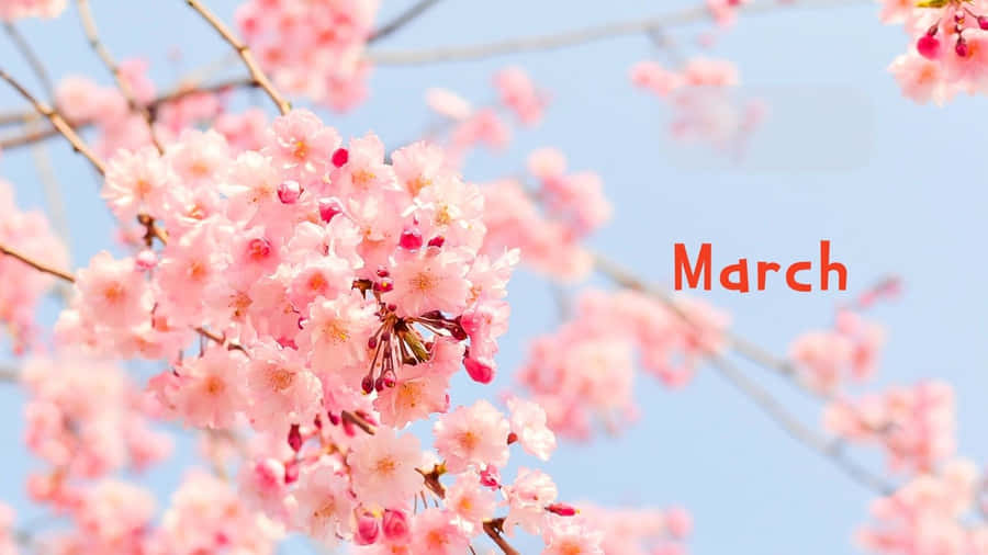 Bold Colors Of Nature Wallpaper