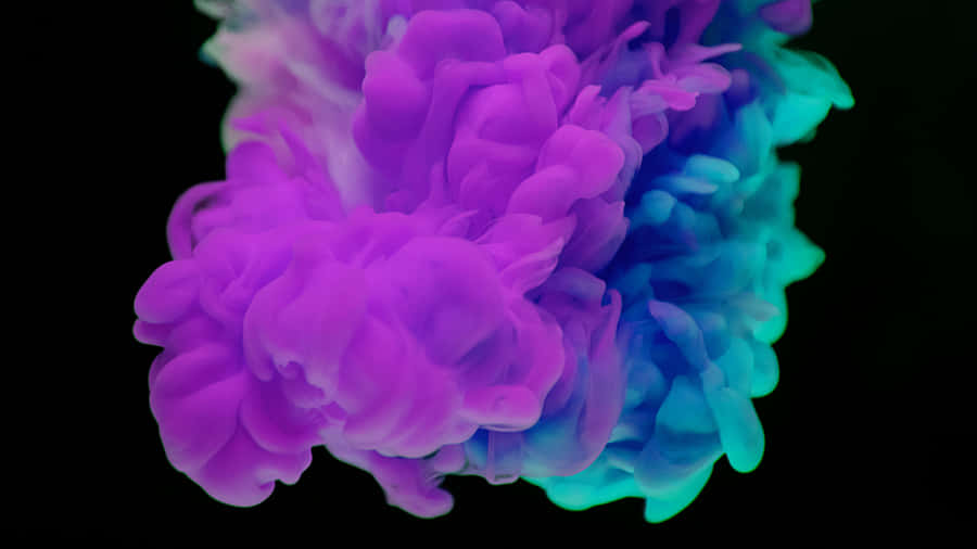 Bold Expression Of Vibrant Colors Wallpaper