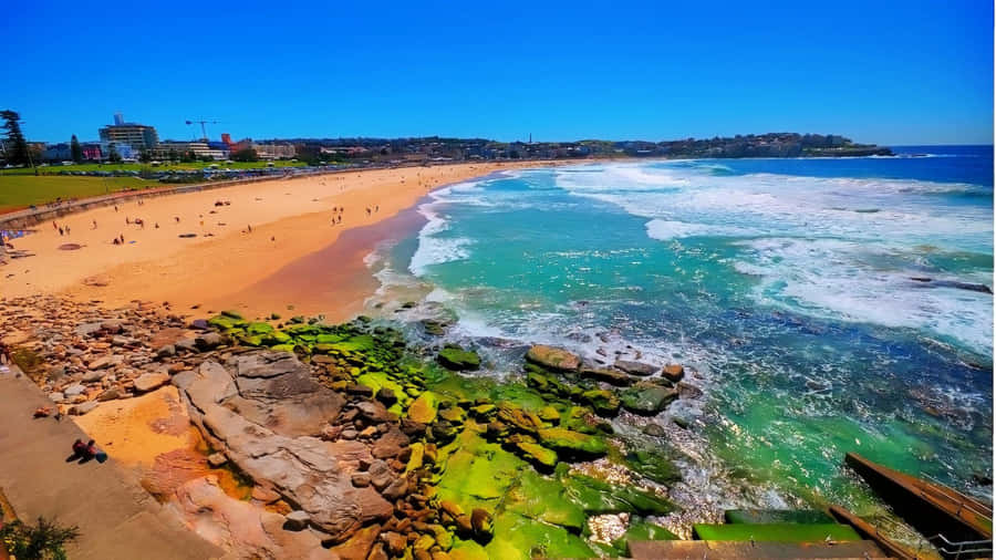 Bondi Beach Sunny Day Aerial View Wallpaper