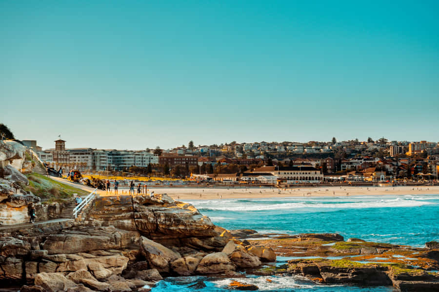 Bondi Beach Sunny Day Vista Wallpaper