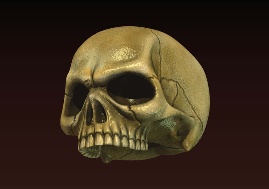 Bone-chilling 3d Digital Art Of A Skull Wallpaper