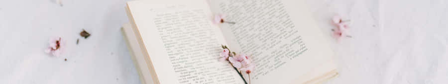 Book In 7680 X 1440 Wallpaper