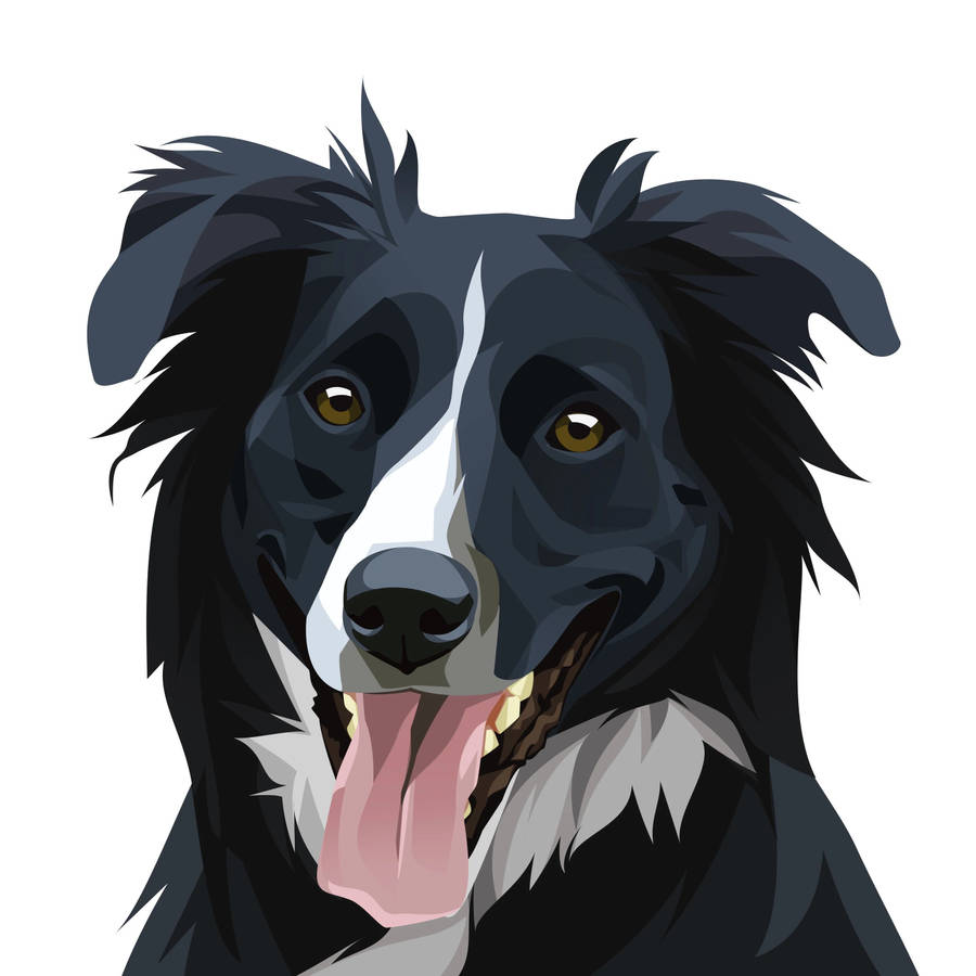 Border Collie Dog Art Wallpaper