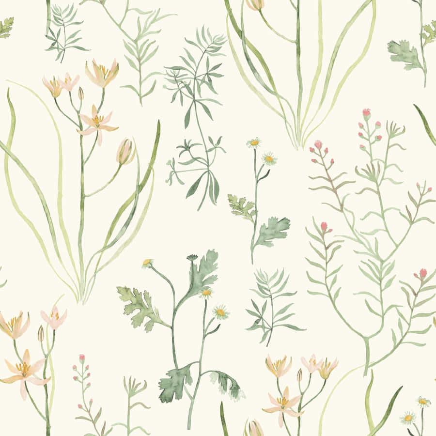 Botanical Pattern Clean Aesthetic Wallpaper Wallpaper