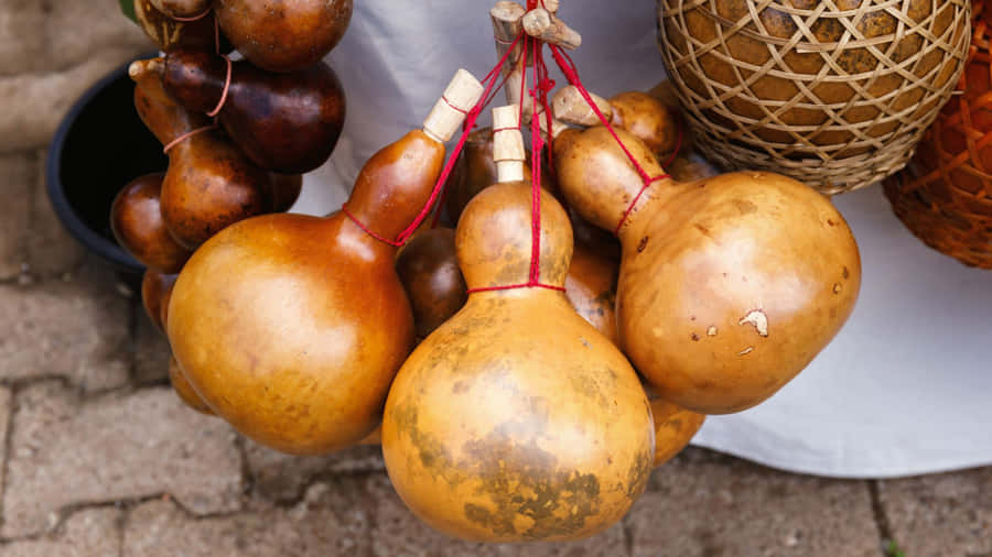 Bottle Gourd Uses Wallpaper