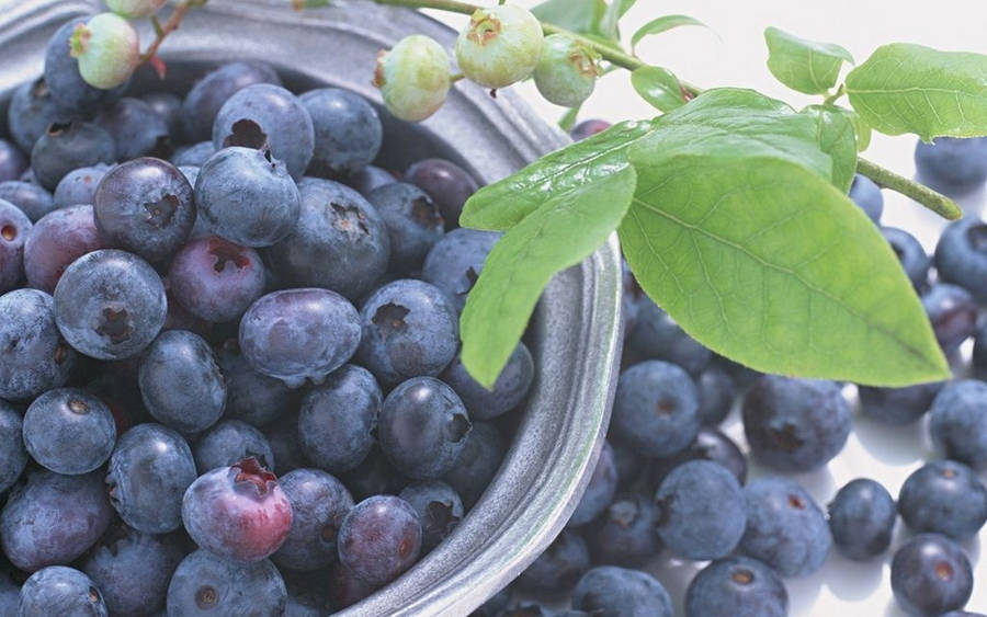 Bowl Of Blueberries Wallpaper