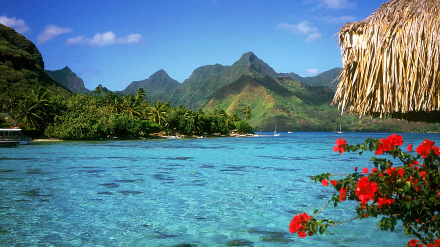 Breathtaking Bora Bora Beach Paradise Wallpaper